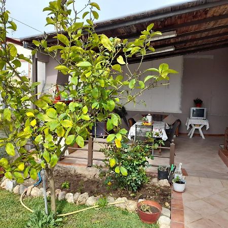 Villa Vangelis 尼亚普拉加 外观 照片